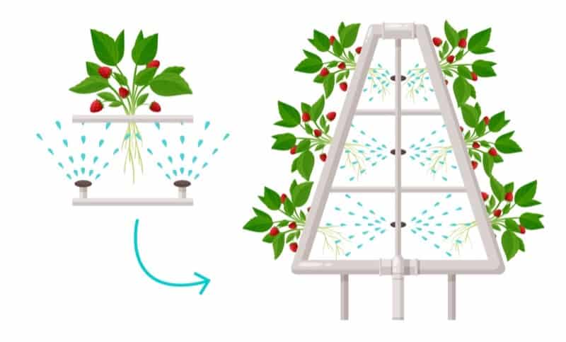 Aeroponic Systems