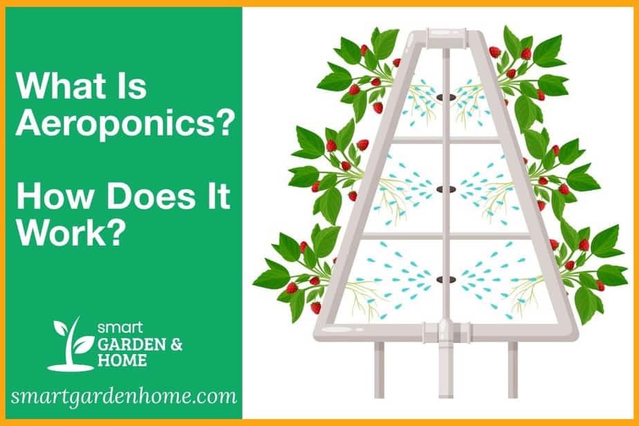 What is Aeroponics. Hw Does It Work