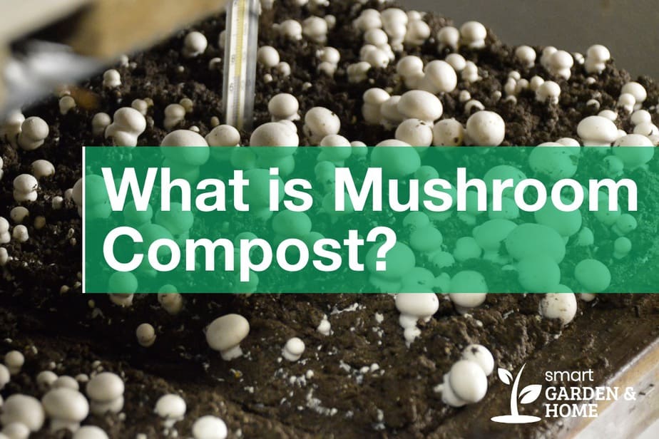 what-is-mushroom-compost-how-to-use-it-smart-garden-and-home