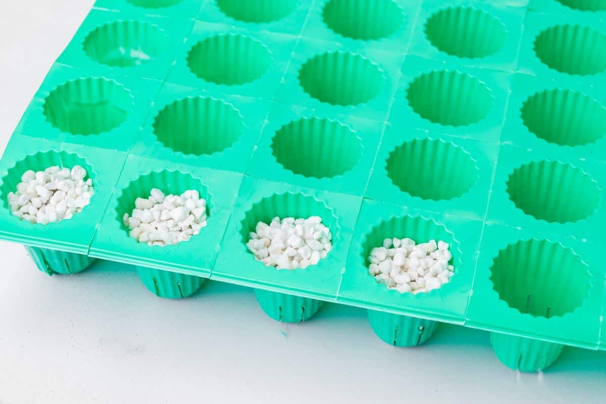 A teal silicone mold tray with several round cavities is partially filled with white, small, granular perlite pellets.