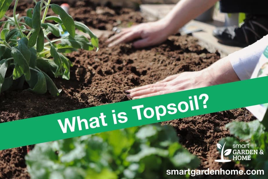 what-is-topsoil-and-what-it-is-used-for-smart-garden-and-home