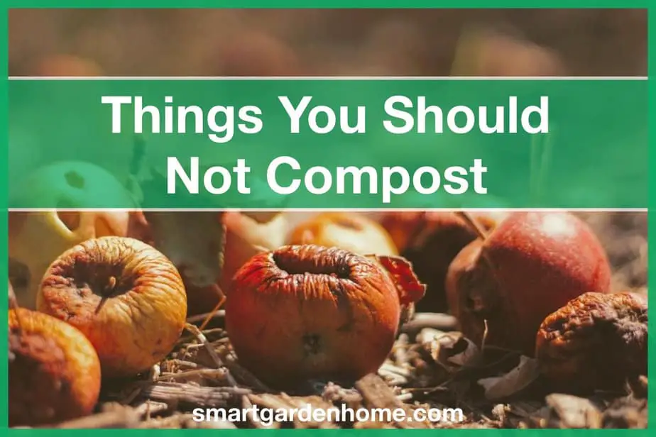 What Not to Compost