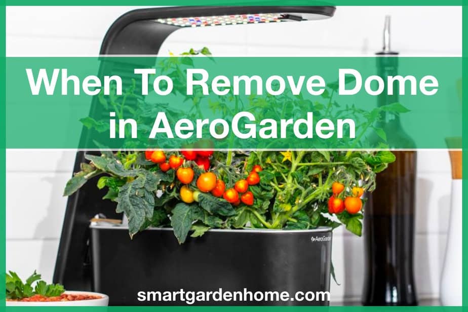 AeroGarden When to Remove Dome