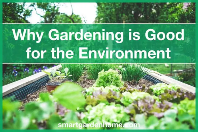 Why is Gardening Good for the Environment