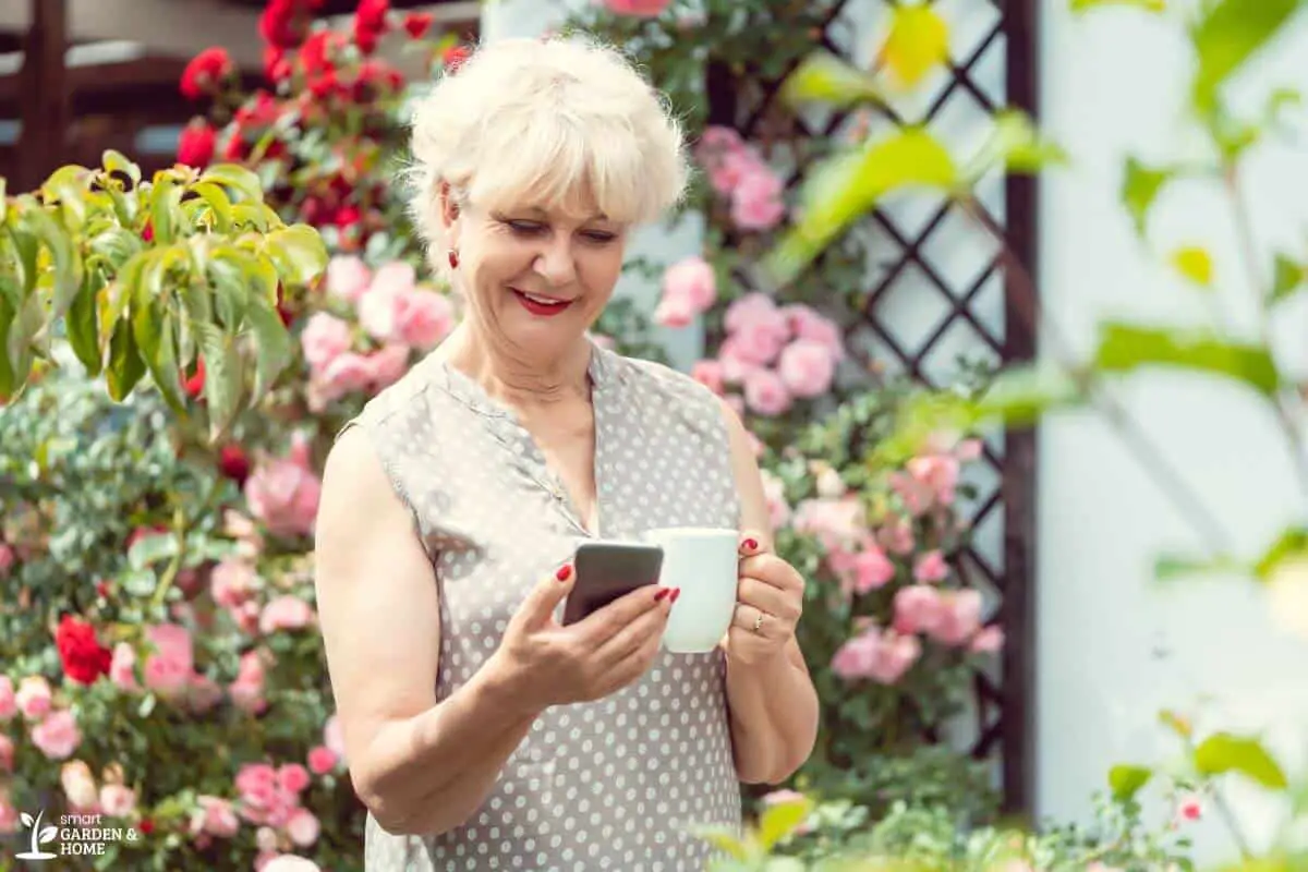Woman Looking On A Phone While In A Garden